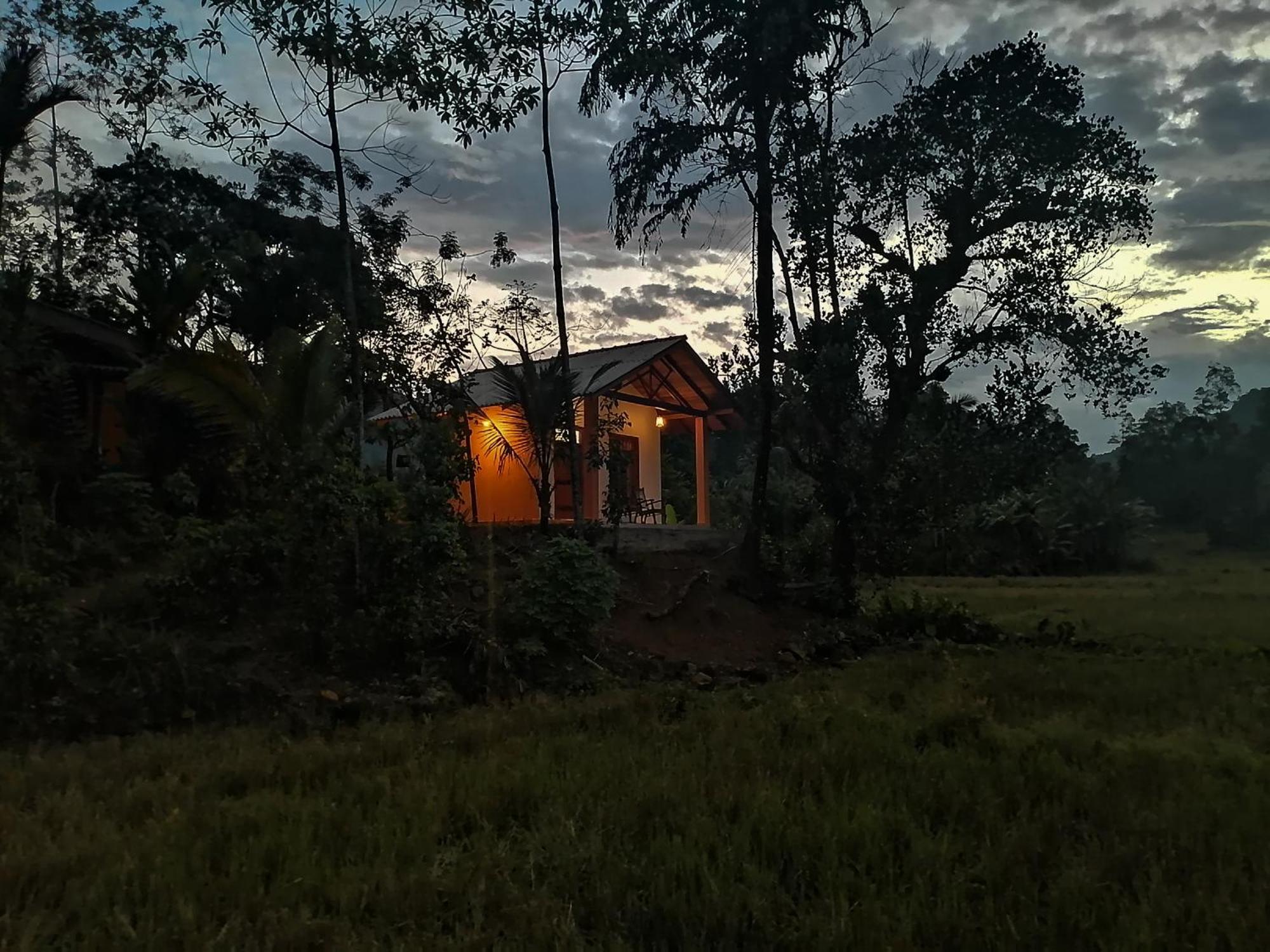 Forest & Fields Sinharaja & Restaurant Deniyaya Exterior photo